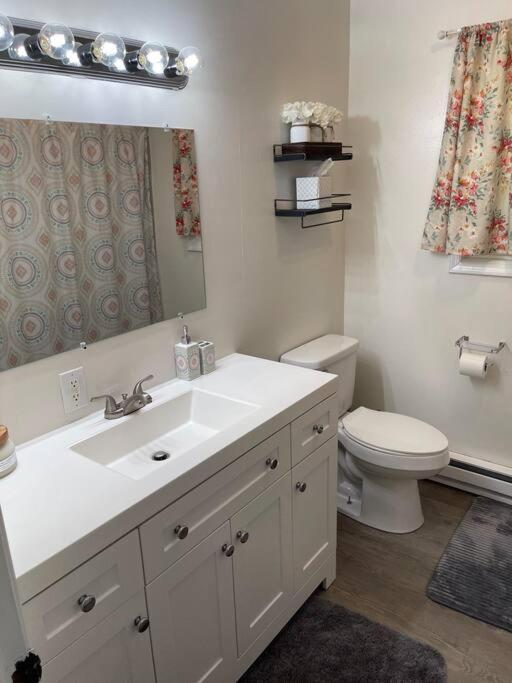 The Tranquility Apartment Tobyhanna ภายนอก รูปภาพ